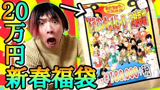 衝撃の｢1袋20万円｣新春SDBH福袋の中身が珍しいカードが大量に入っててヤバい件ww【ドラゴンボールヒーローズ 福袋開封】