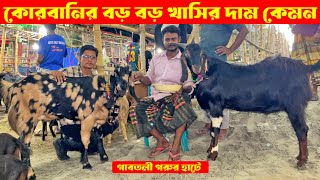 গাবতলী হাটে বড় বড় খাসির দাম চাচ্ছে কেমন ব্যাপারীরা। কোরবানির খাসির দাম/দর। গাবতলী গরুর হাট 2024