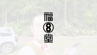 みつばち目線？で森を探索　西椎屋の滝