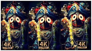 Gundicha rani lo🙏🥰 Jay Jagannath 🙏 old 🥰 Bhajan 4k status 🥰🌹!! Sambit creation ⭐#shorts#bhajan