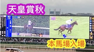 天皇賞秋2024 本馬場入場　全馬に温かい拍手　モニターに映るドウデュースがかっこいい