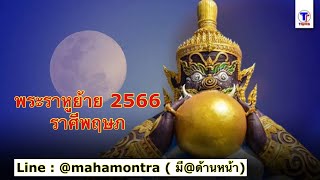 พระราหูย้ายราศี ตค 66 - พค 68 : ราศีพฤษภ