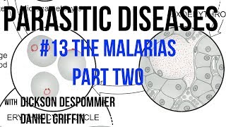 Parasitic Diseases Lectures #13: The Malarias, Part Two
