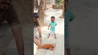 വാഴയാ മത്തായി ചേട്ടാ.. നെമ്മാറ pets park #comedy