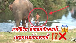 🏃‍♂️นาทีระทึก😱ช้างตกมันลงน้ำ 🐘กู้ข่ายดักปลาแทบไม่ทัน🐳🐳