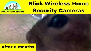 Blink & Blink XT are awesome home security cameras - 8 month review and insights
