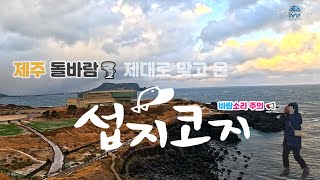 Be careful of the wind noise 📢 ㅣ Jeju stone wind 🌪 Seopjikoji was hit just right