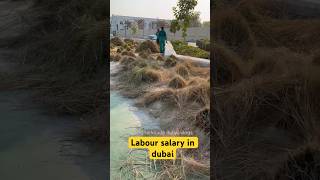 Labour salary in dubai | helper salary #shorts #ytshorts