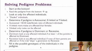 Pedigrees