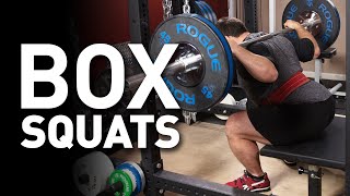 How To Box Squat (Our Form vs Westside Barbell) + Programming