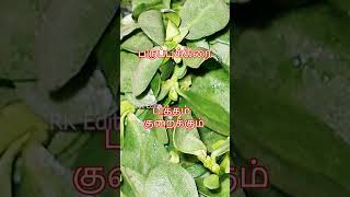 #shorts 30+ Types of Keerai Varities and its medicinal benefits in Tamil