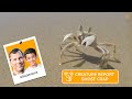 Bonzer Boys Creature Report: Exploring the Fascinating World of the Ghost Crab