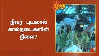 புயலை எதிர்கொள்ள தயாராகும் நாகை மக்கள் | Nivar Cyclone In Nagapattinam | Sun News