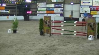 Daimler (Chin Chin x Burggraaf) 1.30m