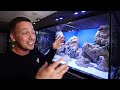 My NEW beginner Saltwater aquarium - The king of DIY