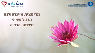 מיינדפולנס: תרגול 8 - הרפייה