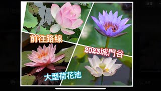 城門谷公園輕輕鬆鬆賞花遊蹤 #荷花 #睡蓮 #前往路線