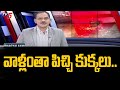 TV5 Sambashivarao Intro | Amaravati Farmers Padayatra | TV5 Top Story | TV5 News Digital