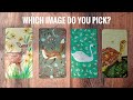 SPIRIT ANIMAL MESSAGES: GUIDANCE FROM the ANIMAL KINGDOM (Pick A Card) Tarot Reading