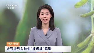 [中国三农报道]“GO”关注 大豆被列入种业“补短板”阵型|农业致富经 Agriculture And Farming