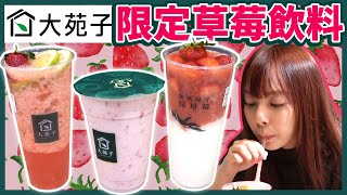 大苑子新品開箱！一杯120元真的值得買嗎…？【冬季限定草莓系列新品】