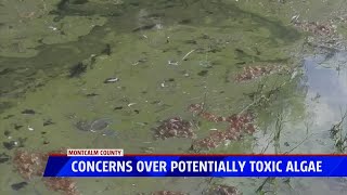 Montcalm Co Man Concerned Over Algae Bloom