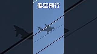 飛行機　低空飛行#shorts