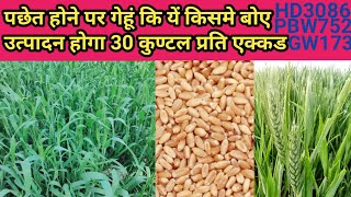 wheat Top variety in 2021,new variety of wheat,gw 173,pbw752,hd 3086 Ki Pu,गेहूं ki pachheti variety