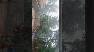 ഇന്നത്തെ അതി ഭയങ്കര മഴ 🌧️🌧️🌧️