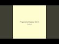 Fragments Shadow Storm