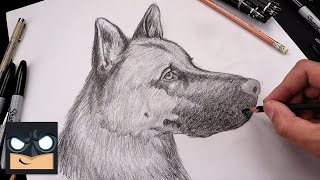 How To Draw a Dog | German Shepherd Sketch Art Lesson (Step by Step)