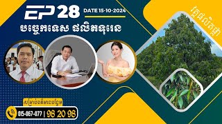 [AMC] បច្ចេកទេសធ្វើទុរេន វគ្គផលិតផ្កា (EP-28) | #NPK #FutureGold #អាហាររងបំប៉នបន្ថែម #Chitosan