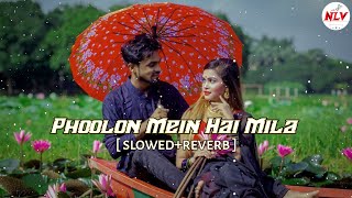 LOFI: Phoolon Mein Hai Mila | (SLOWED+REVERB) HanuMan Movie (Hindi) 🎤Javed Ali | USE EARPHONES 🎧
