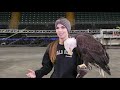 eagle training at the family arena