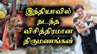 இந்தியாவில் நடந்த 10 விசித்திரமான திருமணங்கள் | Top 10 Amazing Marriages in India