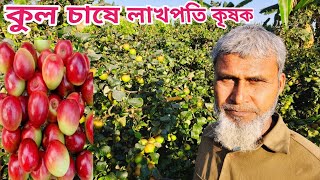 Kul Chas//কুল গাছ লাগানোর সঠিক সময় কখন? অধিক ফলন পেতে কি কি পরিচর্যা করবেন?@SafolloKotha