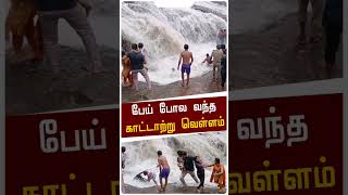 பேய் போல வந்த காட்டாற்று வெள்ளம் | Kumbakarai | PTD #shorts