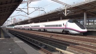 E5系+E3系新幹線なすの253号小山発着/Nasuno Shinkansen/2013.06.23