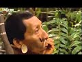 BBC Documentary 2015 - Wild Amazon - National Geographic Documentary HD