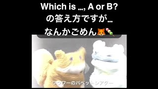 グノパペ:Which is …AorBの答え方:🦊🆚🍡