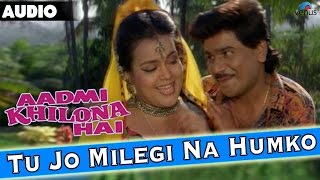 Aadmi Khilona Hai : Tu Jo Milegi Na Humko Full Audio Song With Lyrics | Govinda, Meenakshi Seshadri