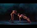 pilobolus come to your senses