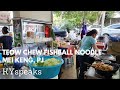 Chinese Style Teow Chew Fish Ball Noodle at PJ