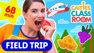 Learn About Making Maple Syrup Caitie S Classroom Field Trip Super