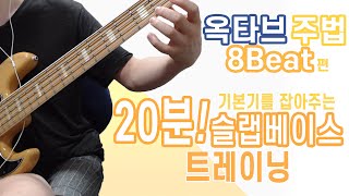 [기본기를 잡아주는 20분 슬랩베이스 트레이닝] 옥타브주법 8beat편