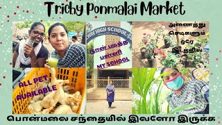 திருச்சி பொன்மலை சந்தையில் என்ன இருக்குனு பார்க்கலாம். Exploring Trichy ponmalai Market / Pet shops