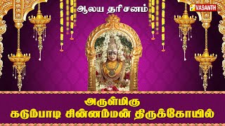 அருள்மிகு கடும்பாடி சின்னம்மன் திருக்கோயில் | Aalaya Dharisanam | Vasanth TV