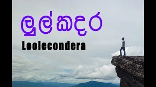 Travelling guide to Loolecondera tea estate