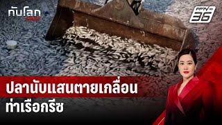 ปลานับแสนตายเกลื่อนท่าเรือกรีซ | ทันโลก DAILY | 29 ส.ค. 67