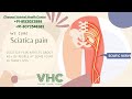 Sciatica Pain: Causes, Symptoms, and Effective Treatments for Lasting Relief - Tamil Tech Mentors